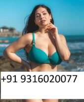 Goa Vip Call Girls In Call +919911454908 Independent Goa Escorts